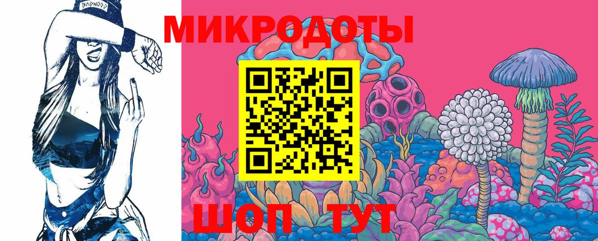 Псилоцибиновые грибы мицелий Прокопьевск