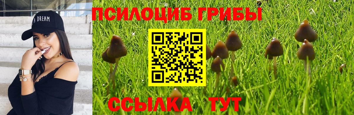 Прокопьевск  Галлюциногенные грибы прущие грибы  Вход с VPN 